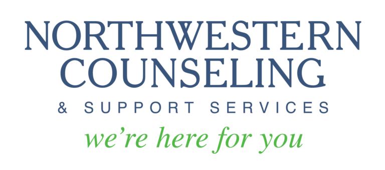 NCSS Developmental Services Standing committee Meeting